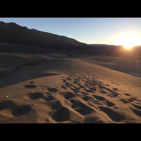 Meet your Posher, Sky - Picture 4 of 6